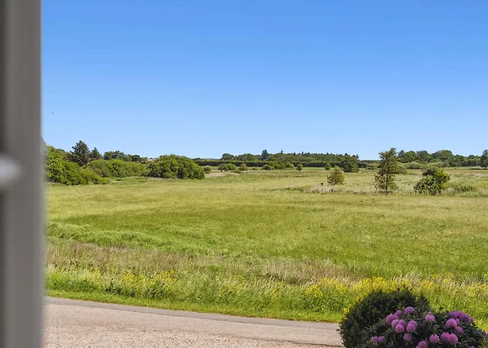 Semesterbostad Large Near