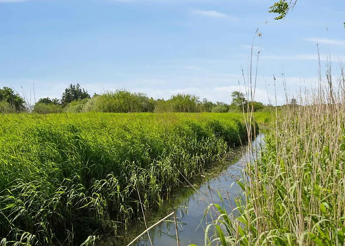 Large Near * Tønder